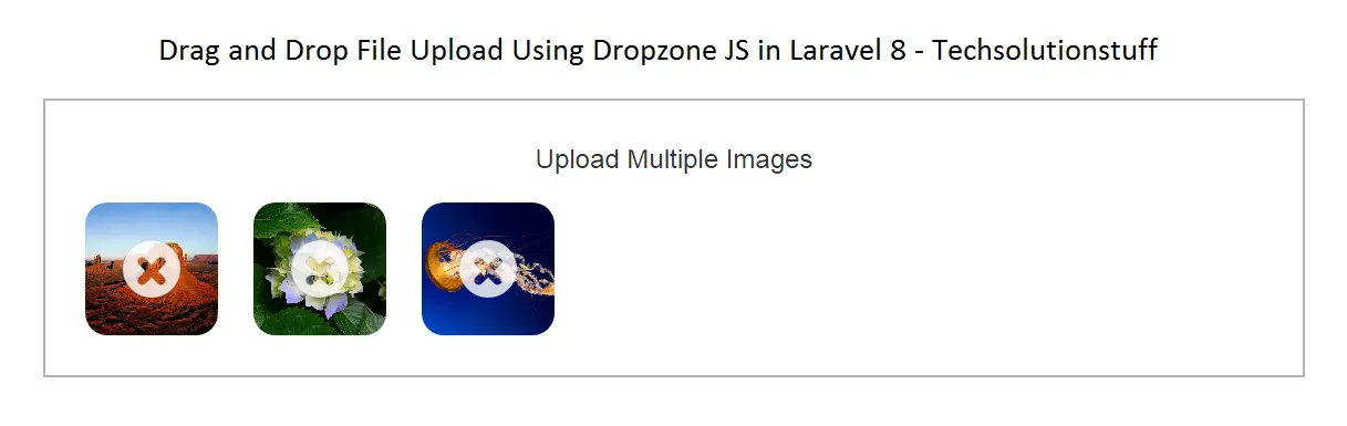 drag_and_drop_file_upload_using_dropzone_js_in_laravel_8_output